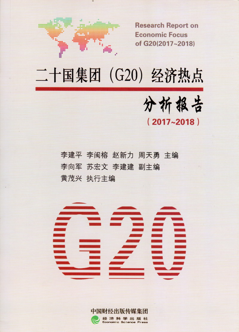 我要看男生急急插入女生小洞二十国集团（G20）经济热点分析报告（2017-2018）