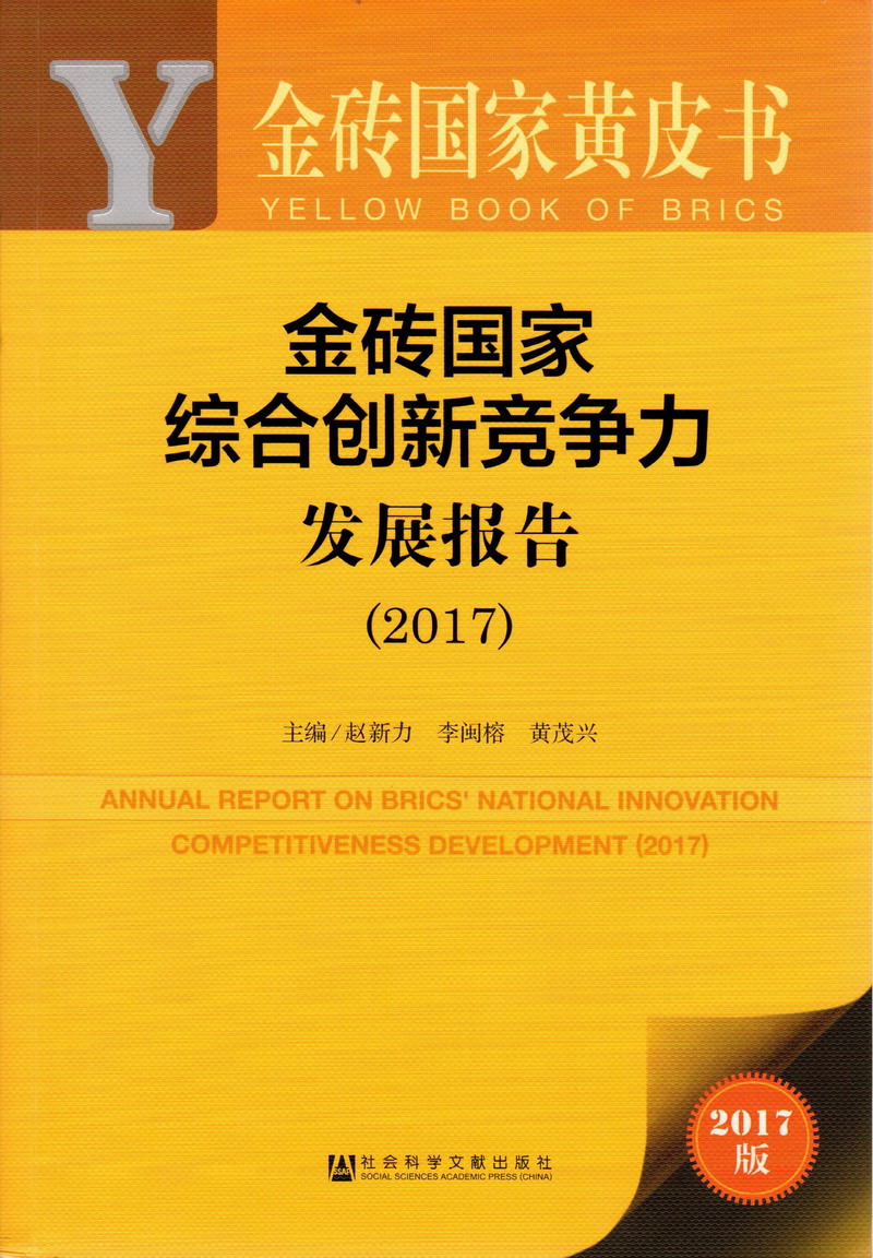 黑人和韩国人在和日本人日皮金砖国家综合创新竞争力发展报告（2017）